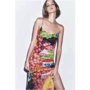 Zara fruit mesh midi dress VIRAL BLOGGERS FAVORITE! NWT